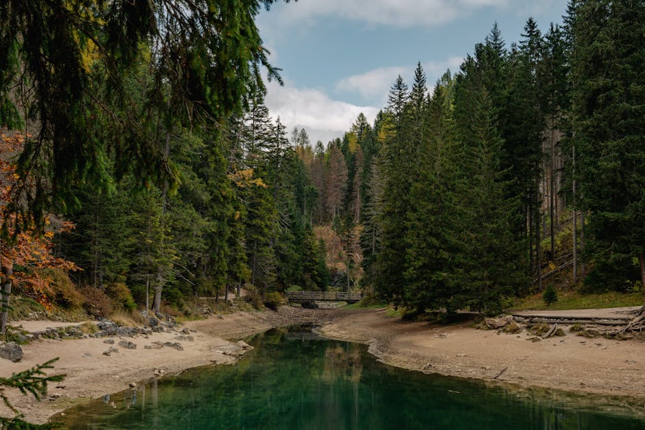 Veronica Neal tweet media