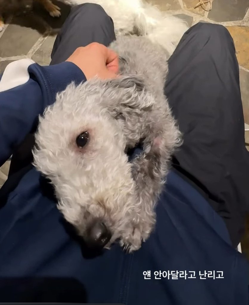 tbvhanbin's tweet photo. 🥹🥹🥹 https://t.co/QSkCDhB4cy