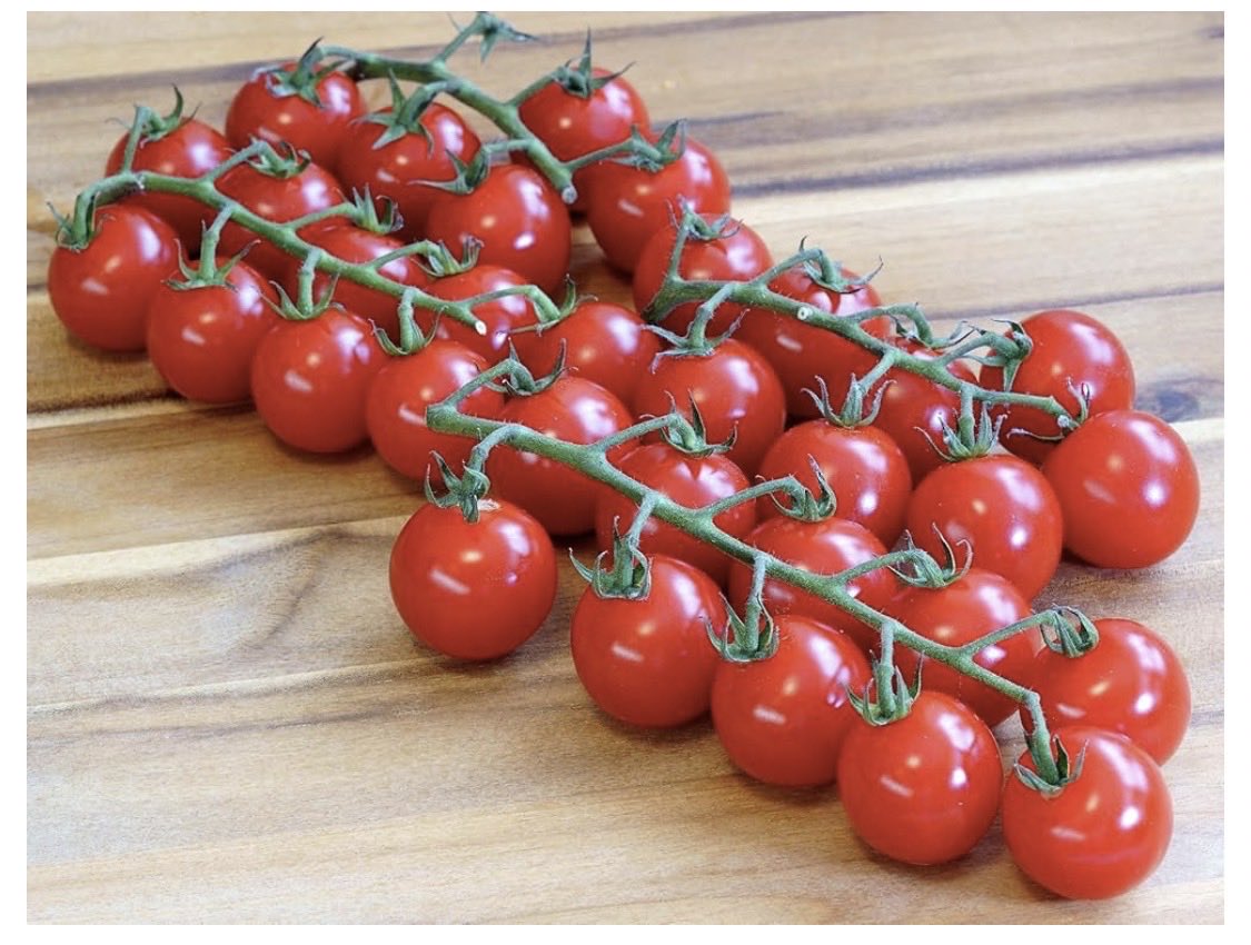 دُخت رومِز tweet media