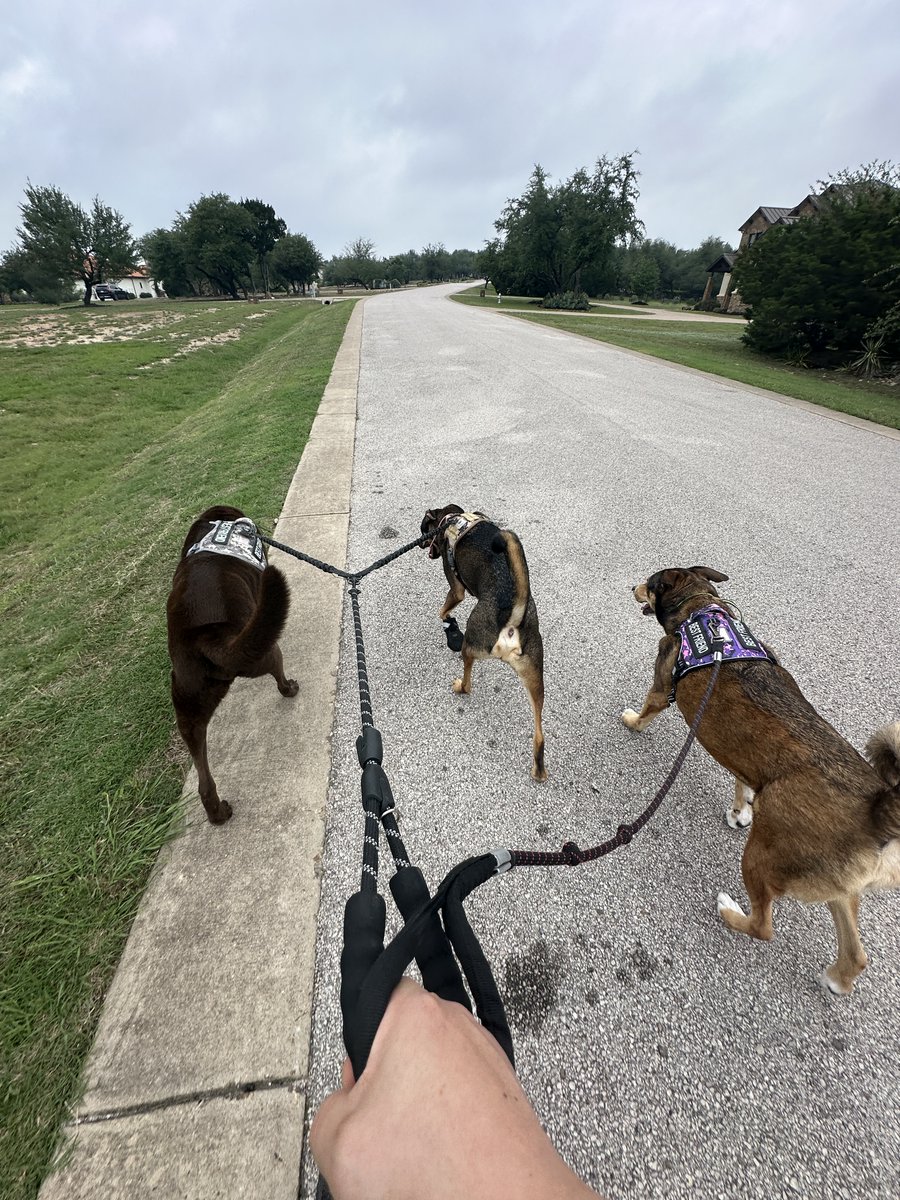 Jimmy Kim tweet media