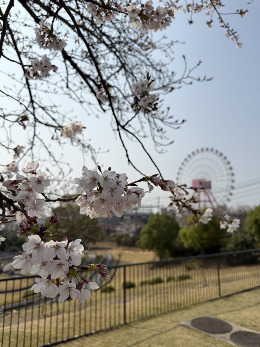 hiroyukishimi13's tweet image. 1ヶ月我慢してるけどF1まだ〜？？🥺
運営〜📣運営〜📢

#F1
#F1JP
#JapaneseGP
#Formula1
#RedBull
#YukiTsunoda
#Honda