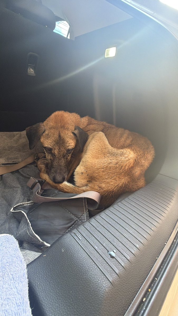 Niall Harbison tweet media