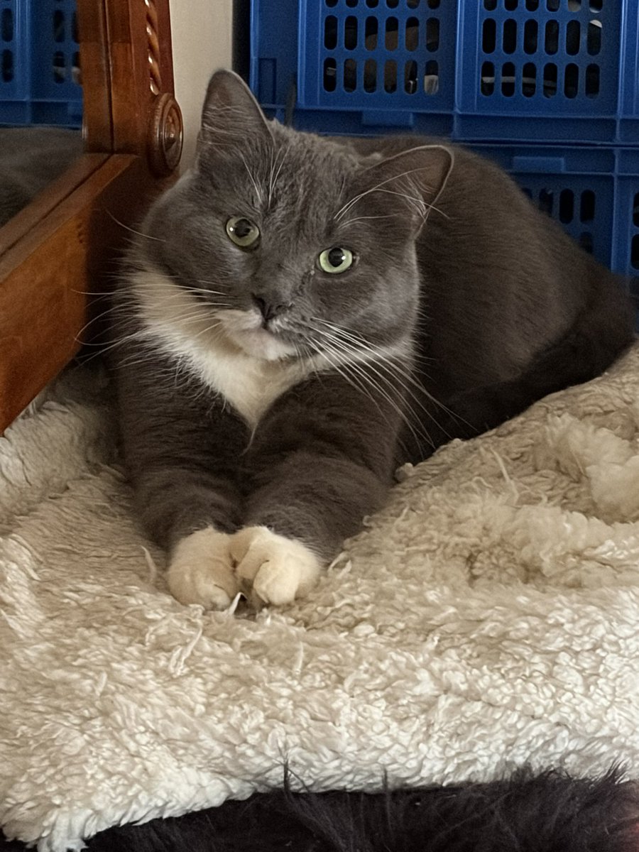 Mukavaa lauantai-iltaa kaikille. Sateen jälkeen taas paistaa aurinko ☀️