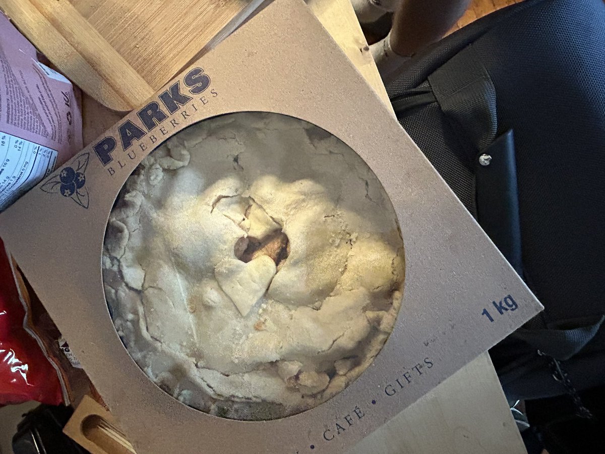 Atlas °❀⋆.ೃ࿔*:･ tweet media