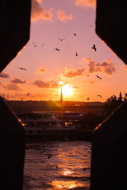 Jacob Smith tweet media