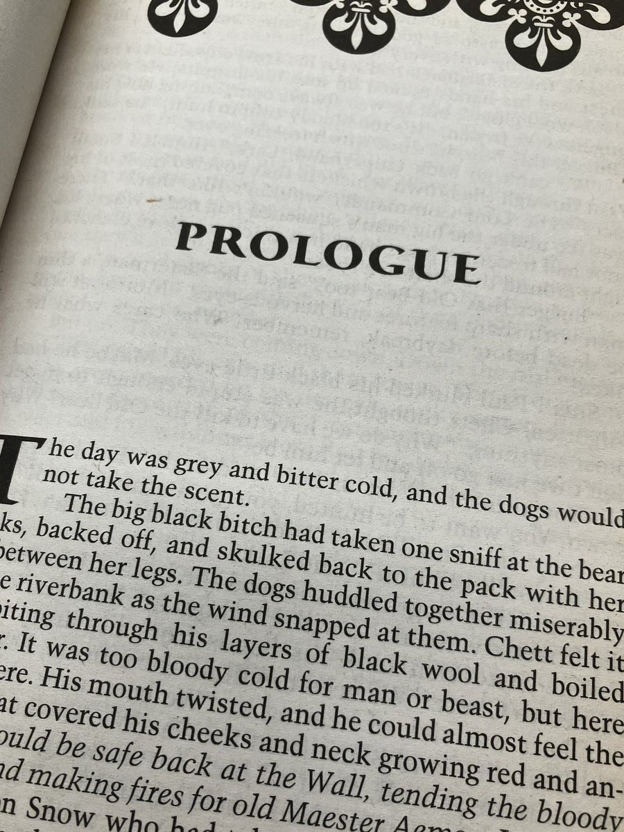 splat 🛡️🌳🐉 tweet media