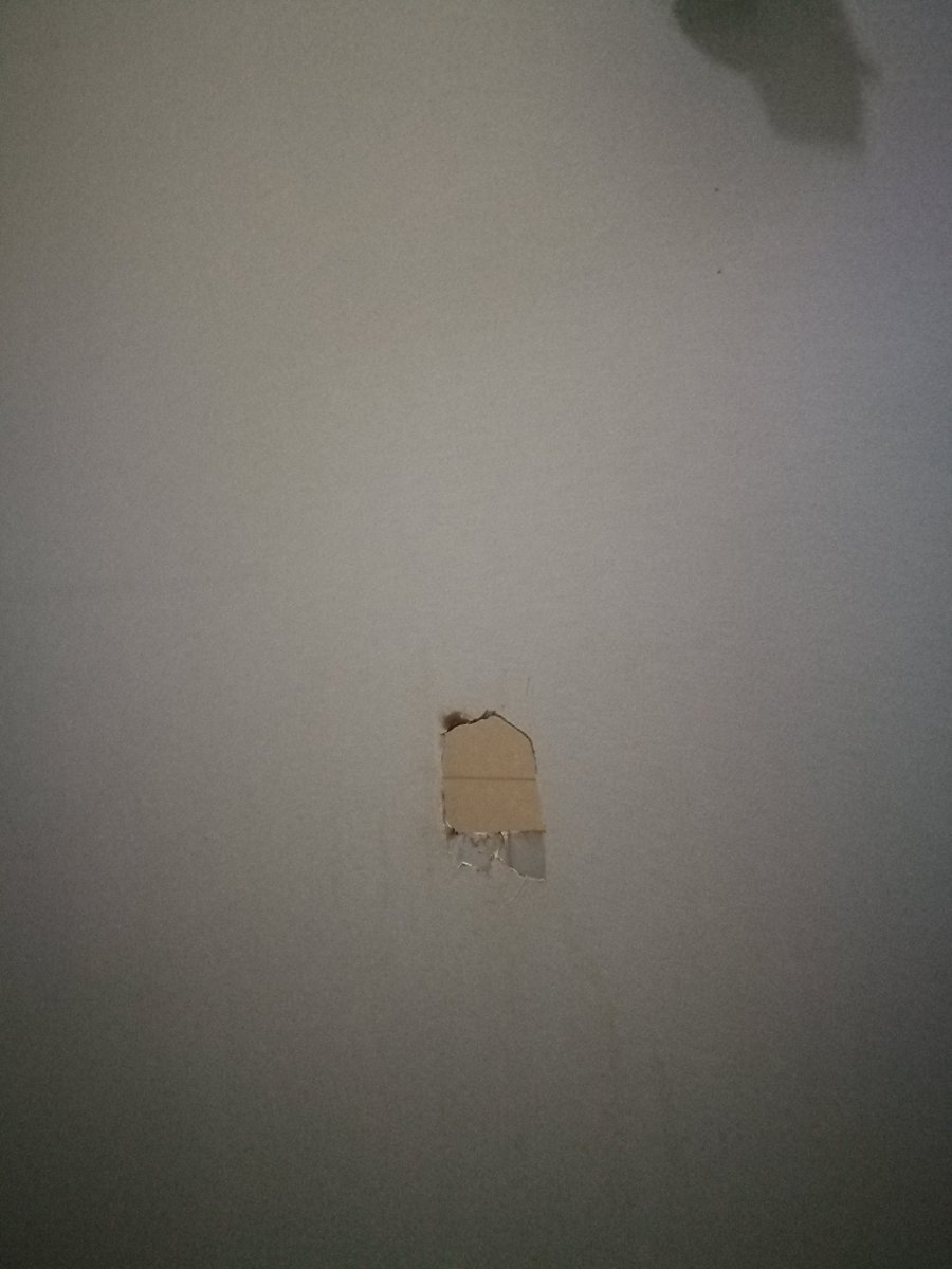 wssffa tweet media