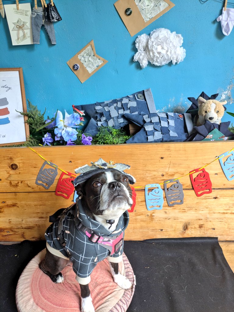 Ｋ(仮名)【ピエラー】 tweet media