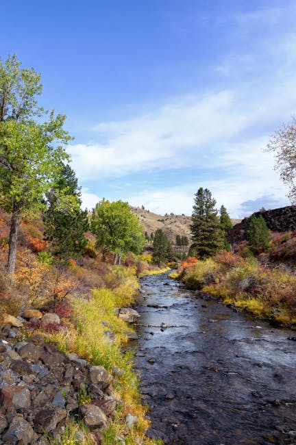 Timothy Parker tweet media