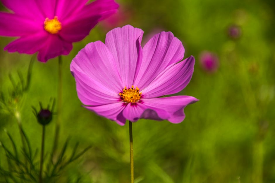 Amber Hill tweet media