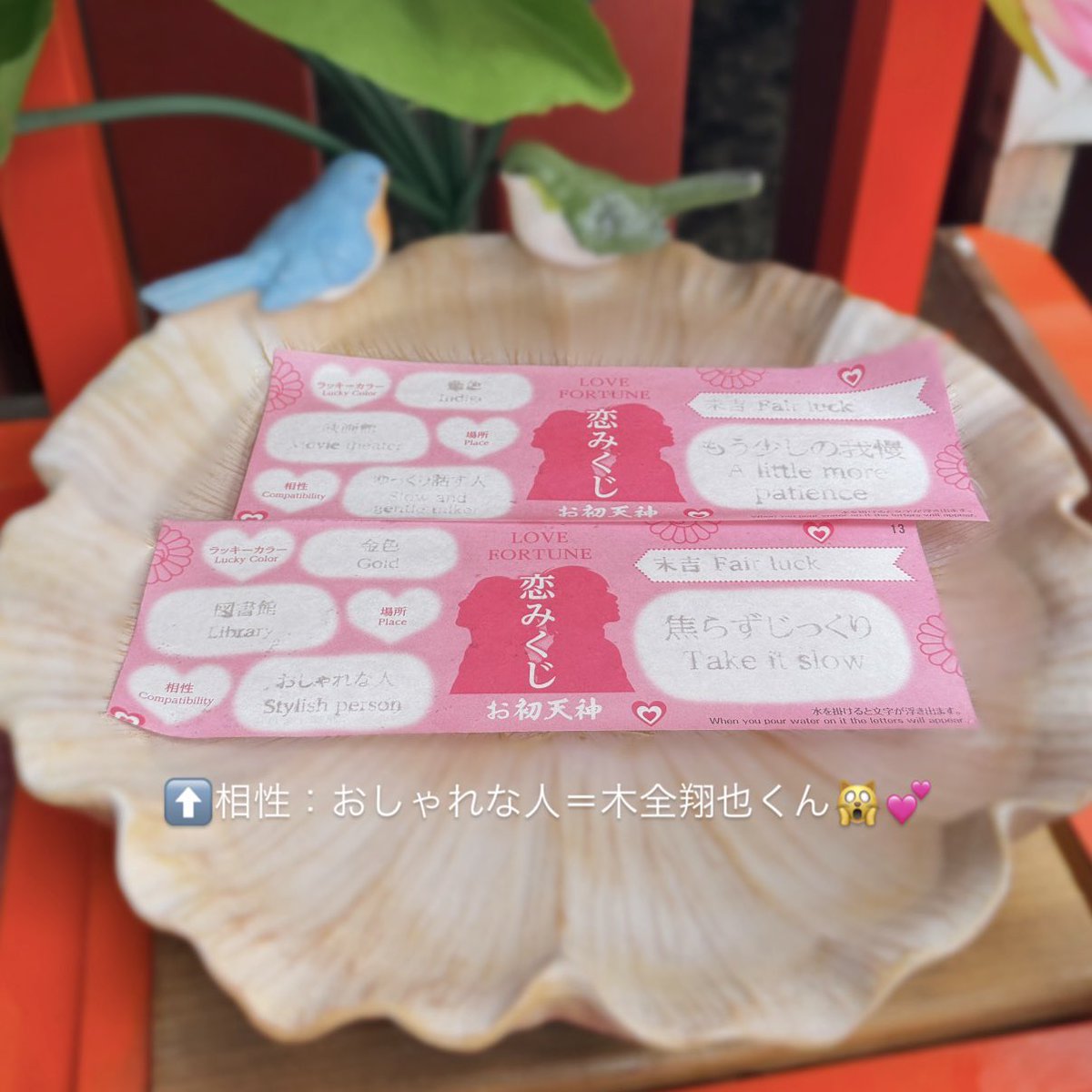 🦭 tweet media