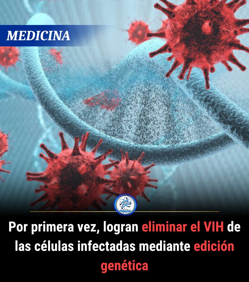 💥Sin duda, se trata de un avance histórico dentro de la medicina, y podría ser de gran ayuda para todas aquellas personas que padecen la enfermedad. Además, también sería una clave para estar cada vez más cerca de la cura.