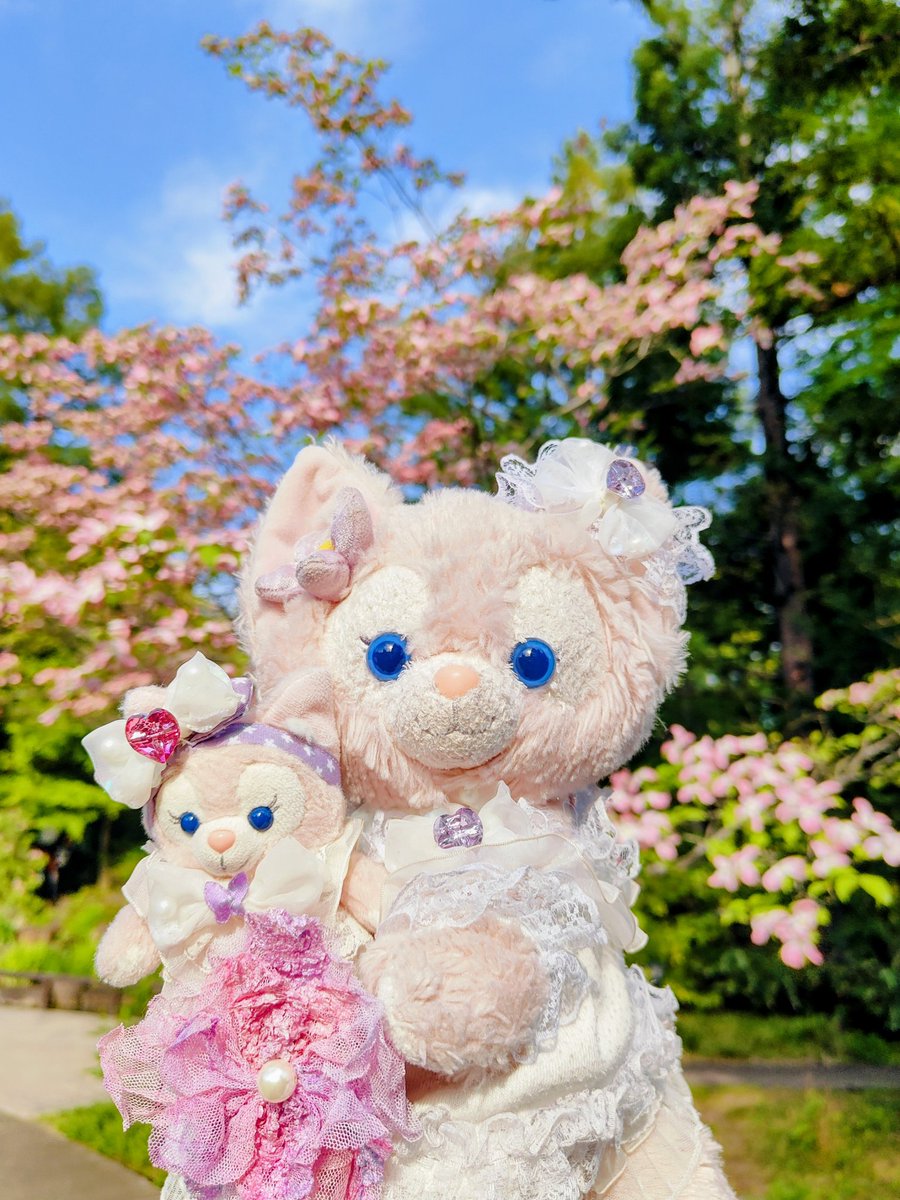 pinkrosebelle's tweet photo. @Love88479 A beautiful photo of gorgeous flowers bathed in light💖 #BeautifulPost💖
I also love flowers, so today I visited a European-style garden and felt nostalgic. Afterwards, I refreshed myself by admiring the wisteria at Nagoya Castle.
Have a Good day! 💖
To my dear friend💕 https://t.co/NmyLAl7cuK