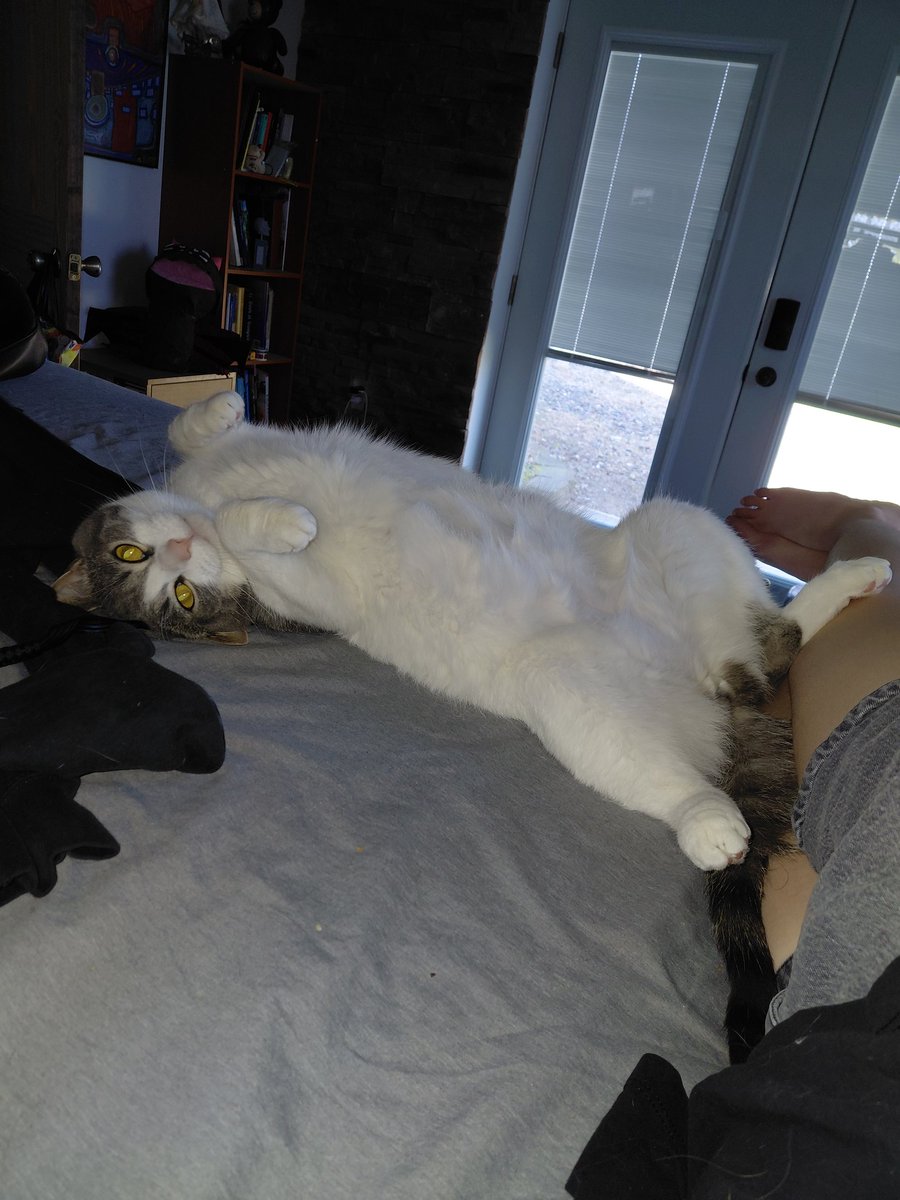 Skrungus and Daisy Incorporated (ft Smoky) tweet media