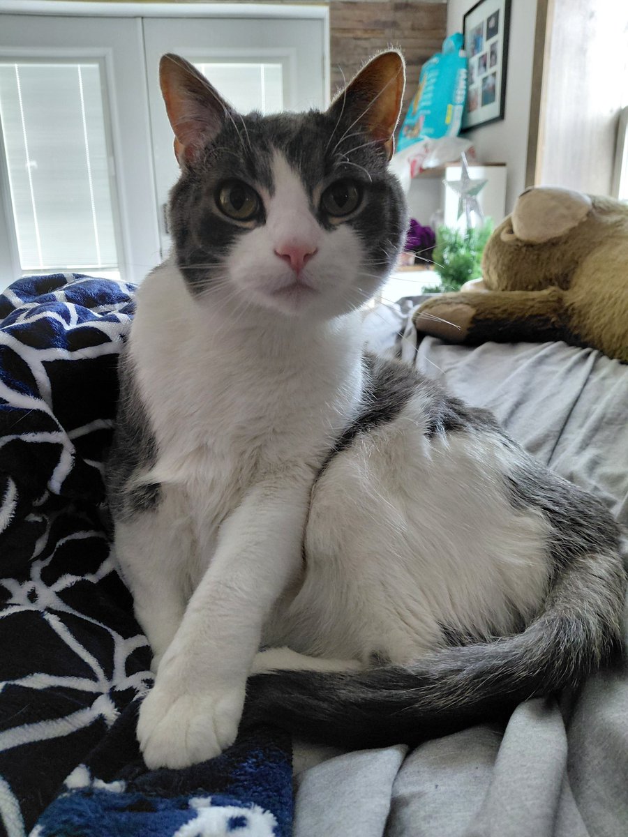 Skrungus and Daisy Incorporated (ft Smoky) tweet media