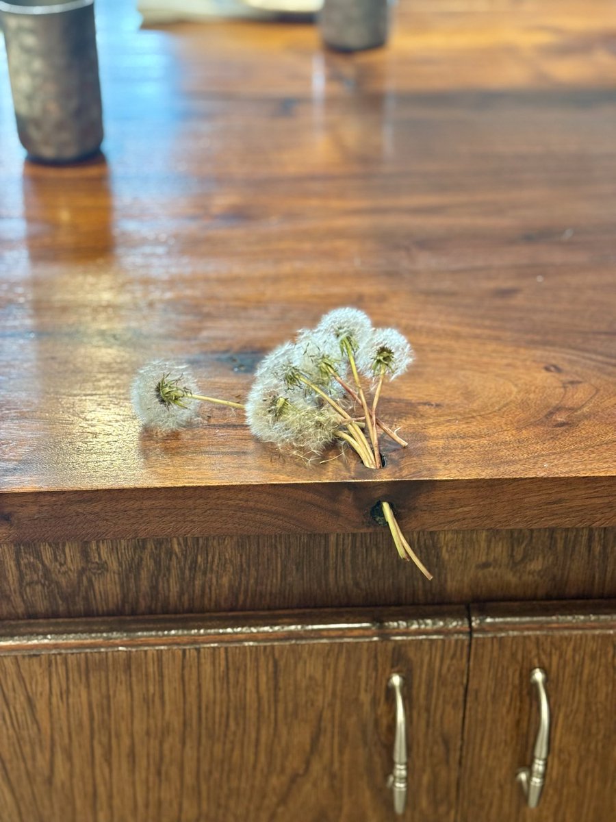 My parents have this little knot hole in their kitchen counter, and my three-year-old uses it to hold important things. 🥹

Kills us!