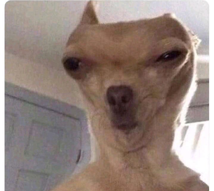 ChrisExcel tweet media