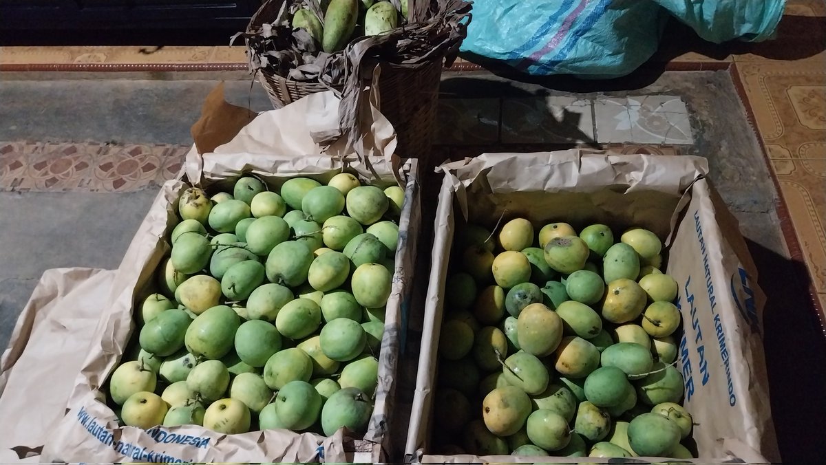 Atilu Nursery tweet media