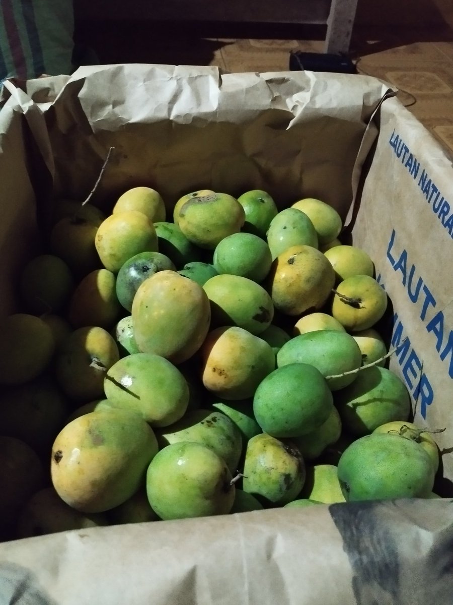 Atilu Nursery tweet media