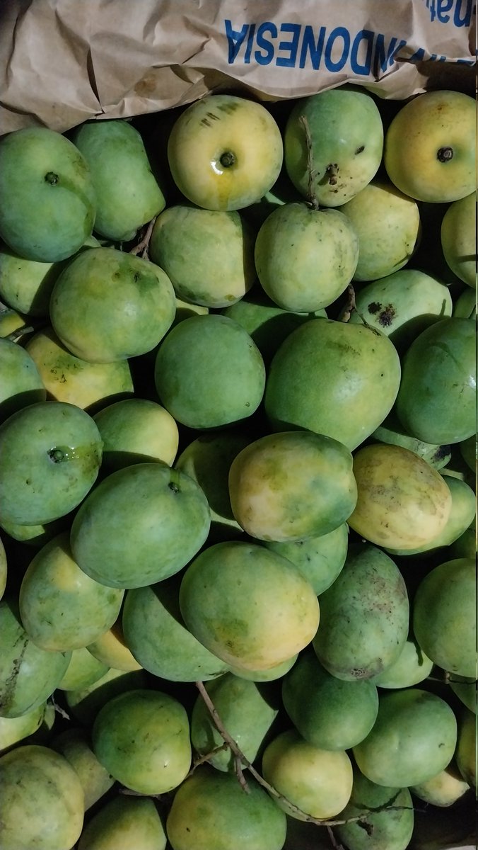 Atilu Nursery tweet media