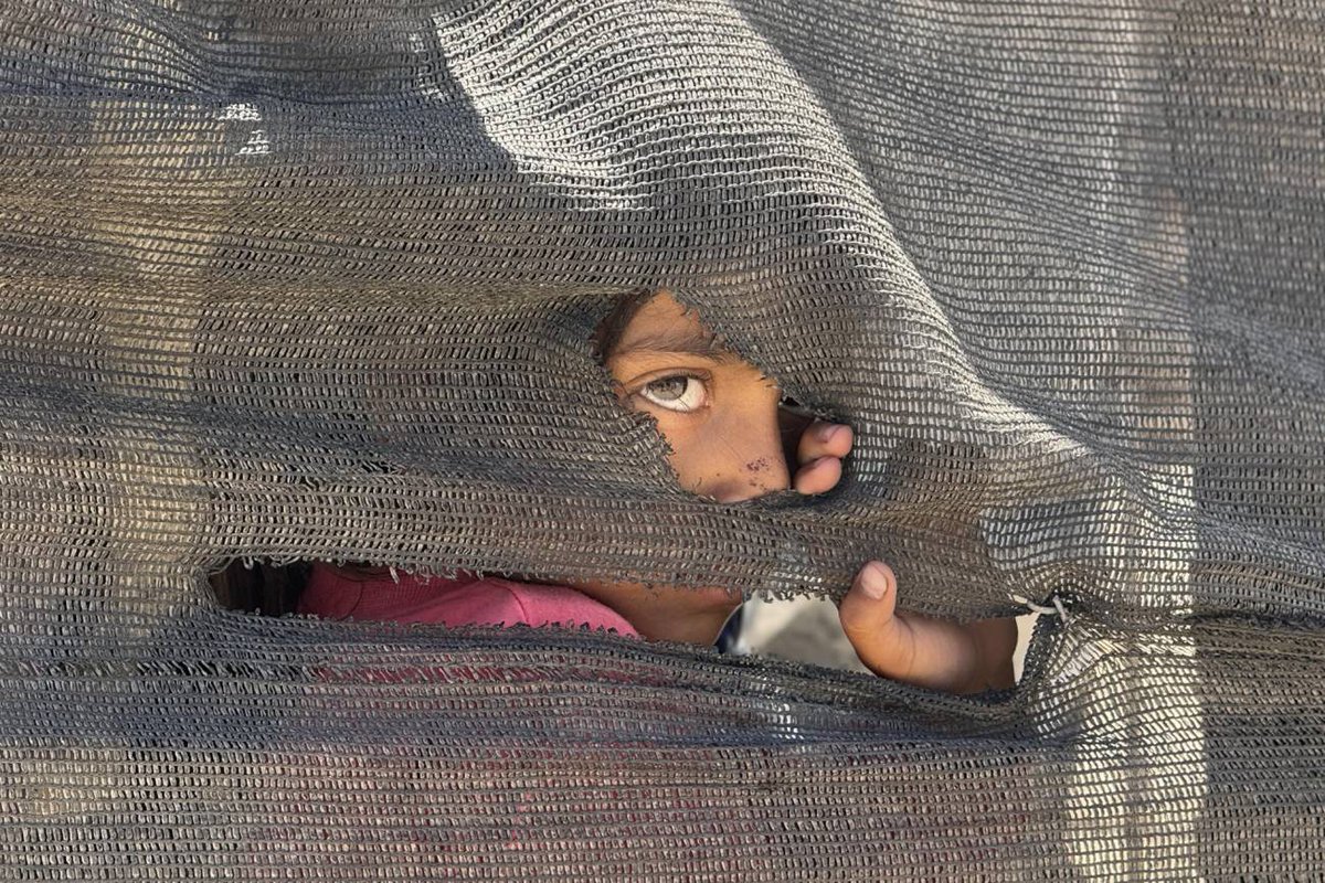 Aníbal Garzón 🌎 tweet media