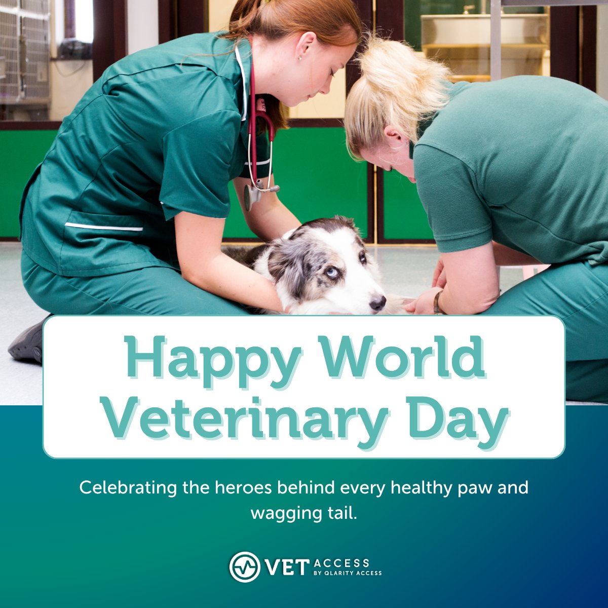 VetAccess's tweet photo. Celebrating the heroes behind every healthy paw and wagging tail.

On World Veterinary Day, we thank all veterinarians and animal care professionals for their dedication, compassion, and hard work. Your care keeps pets healthy and happy every day.

 #vetacess #worldveterinaryday https://t.co/54ngmF3gNp