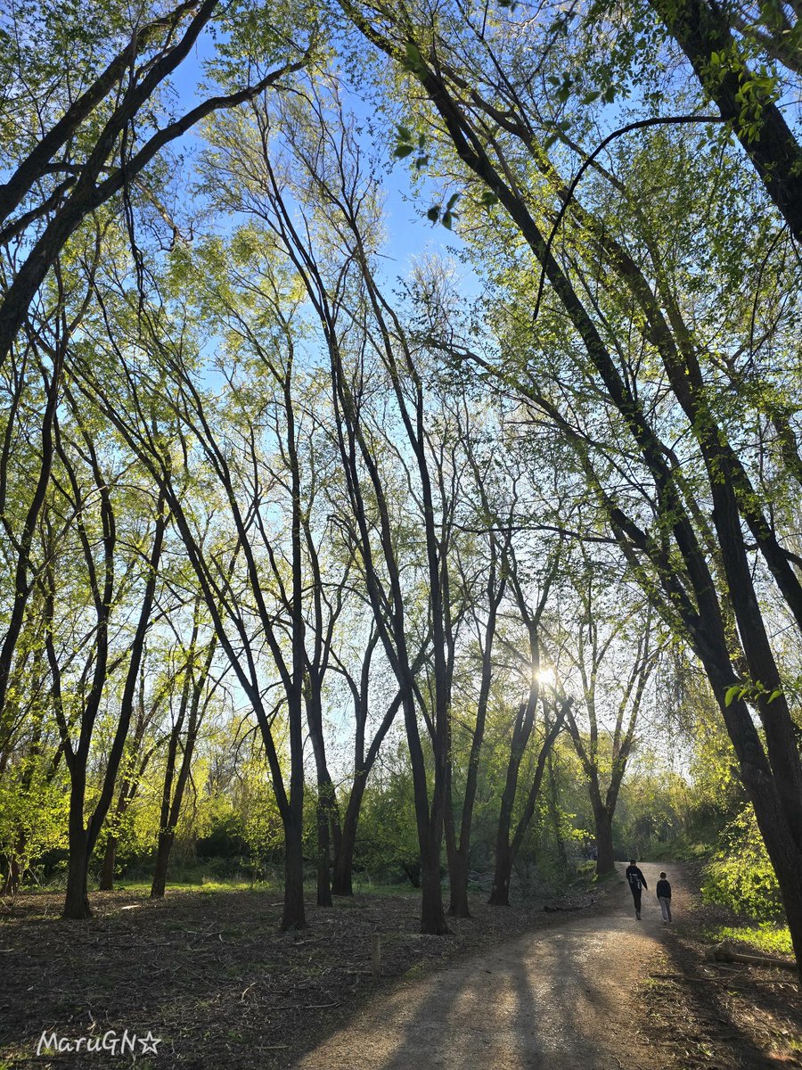 gn_maru's tweet image. "El éxito no está en la gloria o en la riqueza material, sino en la capacidad de superar los obstáculos y encontrar la felicidad en el camino".
Henry Ward Beecher
#quotes #NatureVibes #Photography #Fotografía #hacerfotos