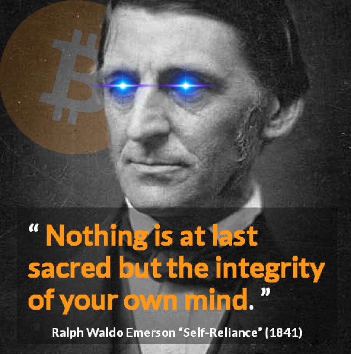 CsquidCo tweet media