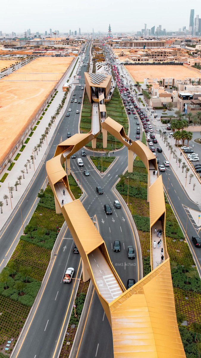 المخضرم 先生 tweet media