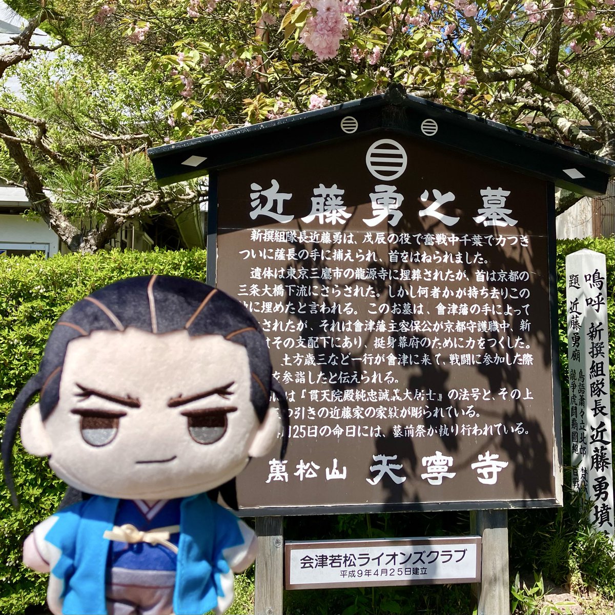 葵 tweet media