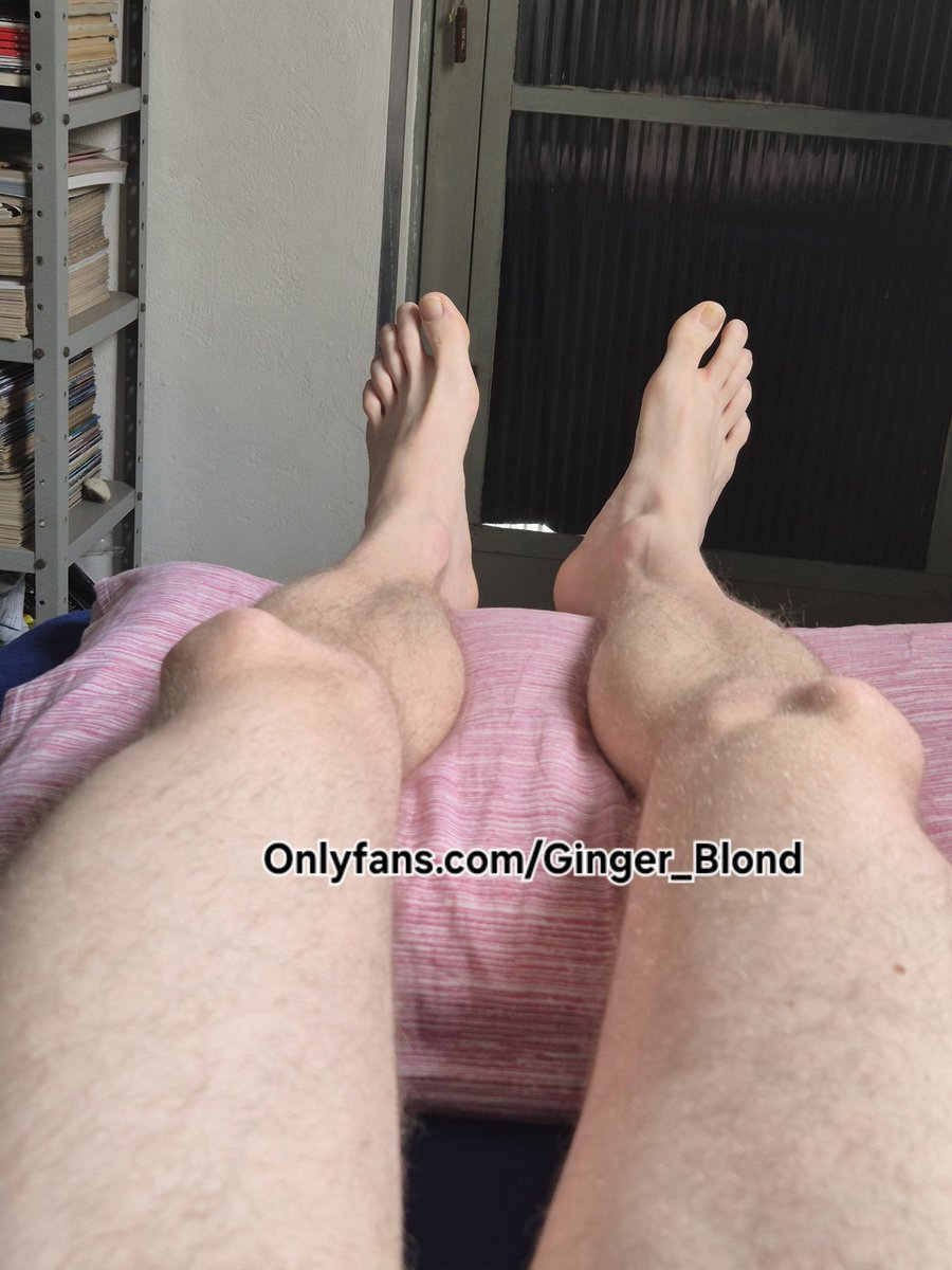 Ginger_blondBR(14K) tweet media