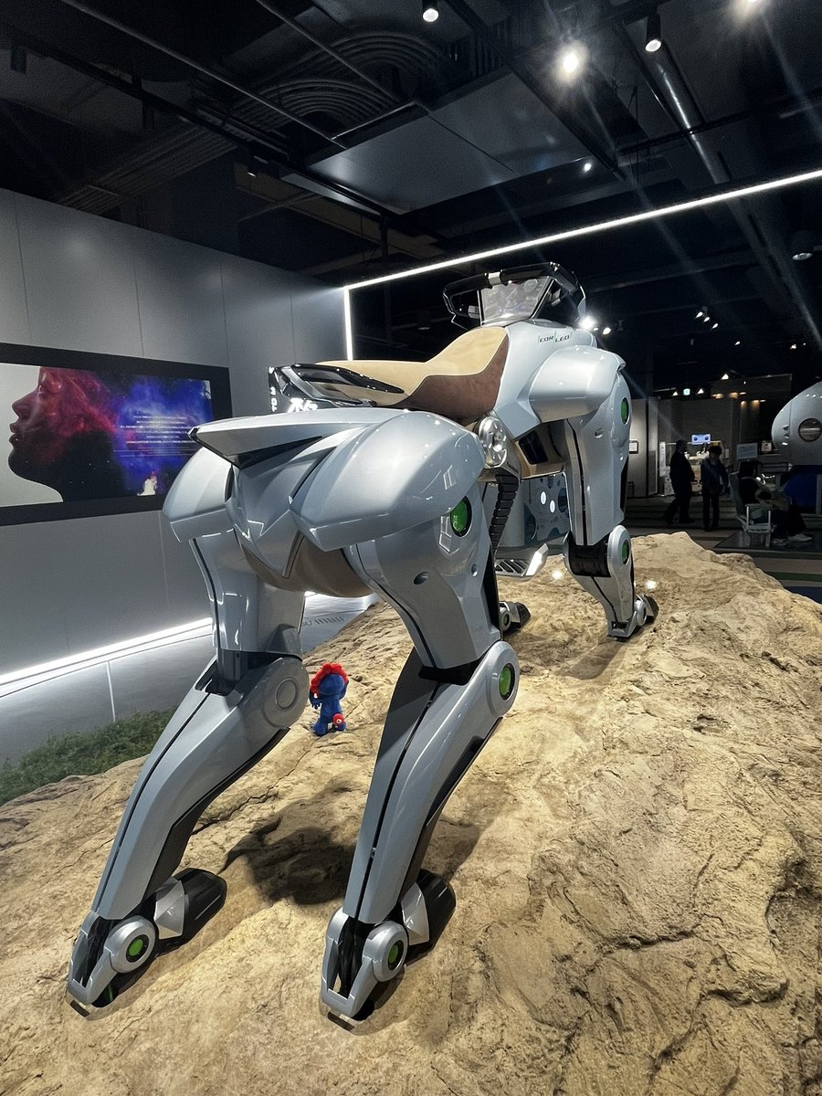 兎希-とき- tweet media