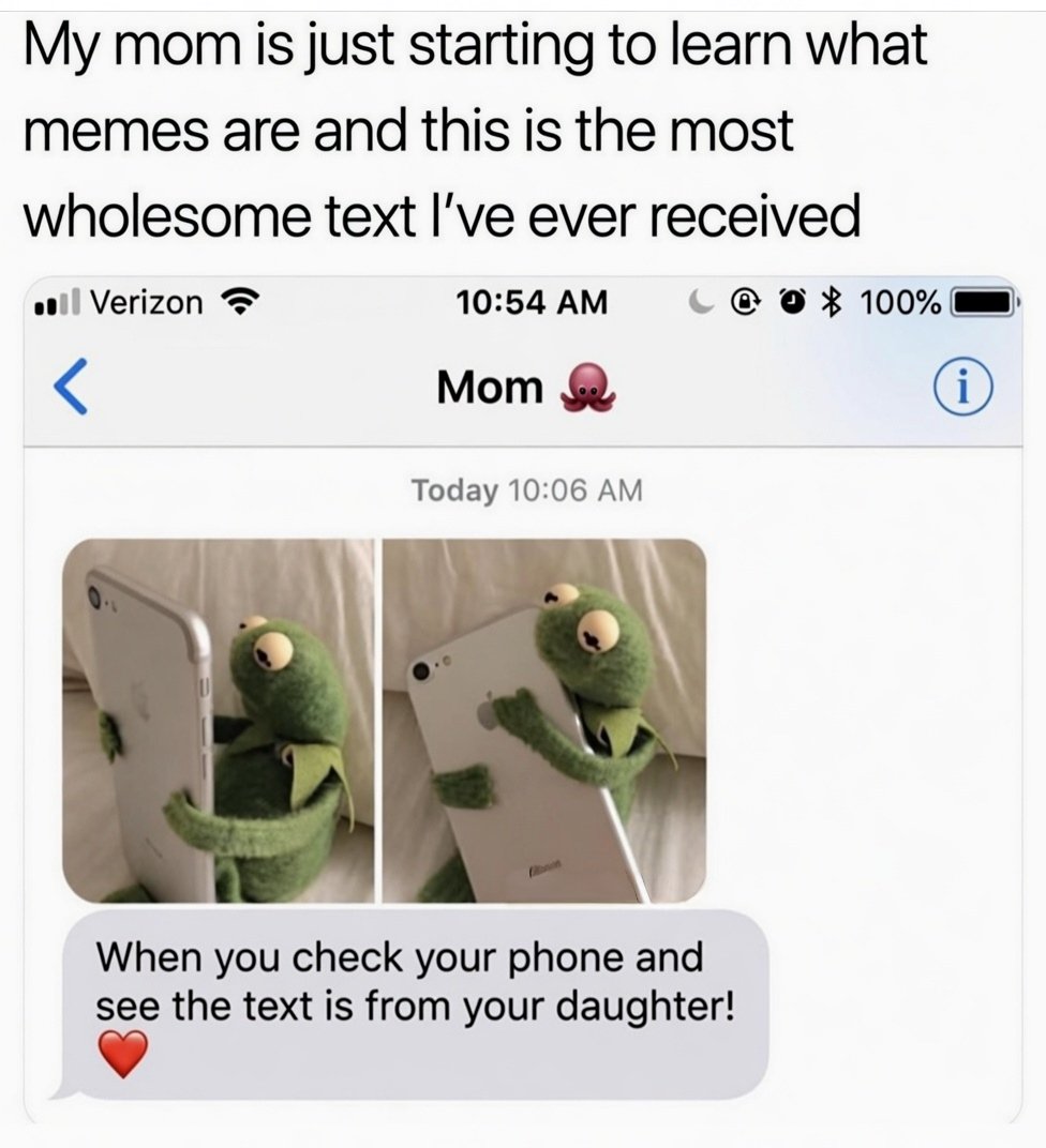 Wolf of X (@tradingmaxisl) on Twitter photo 