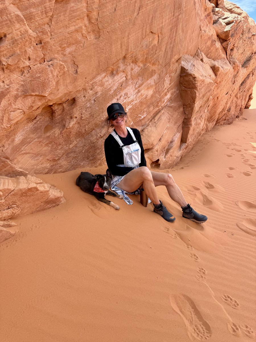 rachelaziani's tweet image. Wyatt loves the Jeep and the sand! ❤️🐶❤️
#Adventurous #Outdoors #Nature #PerfectFit #PuppyLove 
Have a great weekend everyone!! 🤗😘