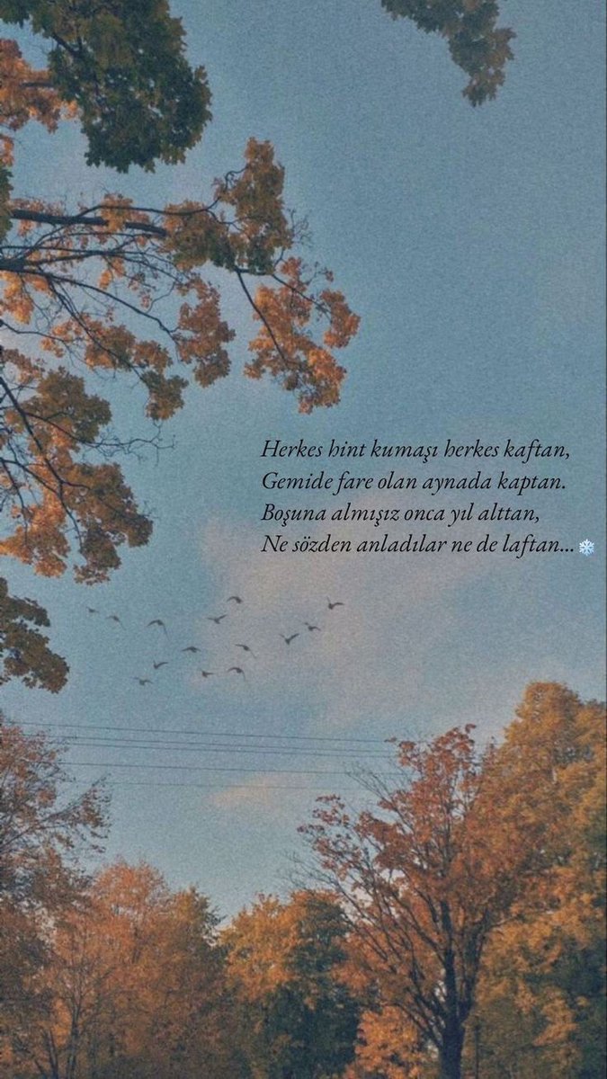 BİRİ tweet media