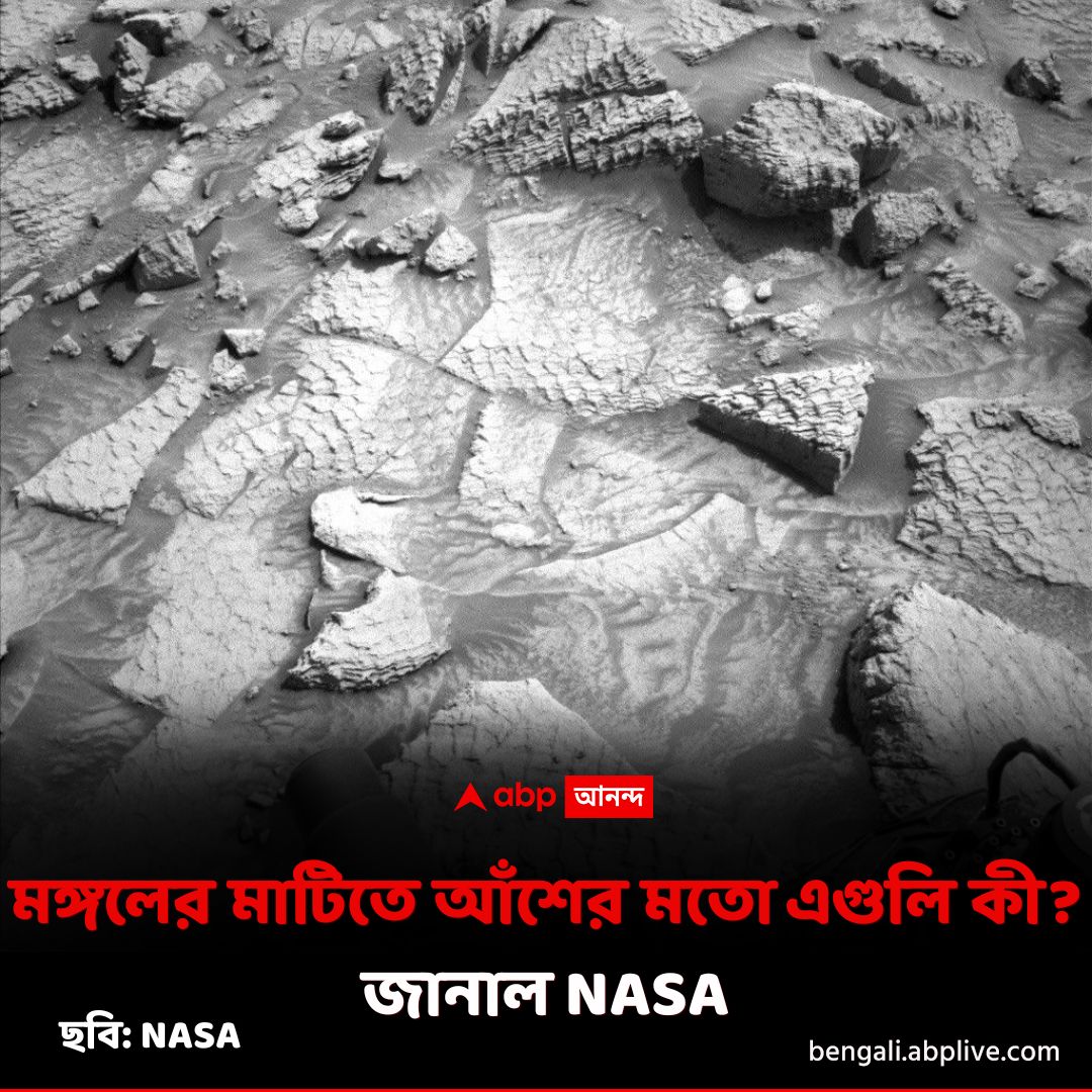 abpanandatv's tweet image. কুমির বা ড্রাগনের আঁশ বলে সন্দেহ অনেকের। কী বলছে NASA?
tinyurl.com/yz4dy4ww বিশদ পড়ুন। 
#Mars #ScienceNews