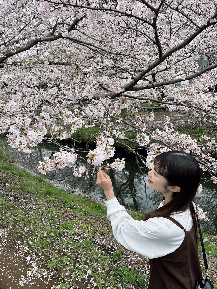 岩田 ちひろ tweet media