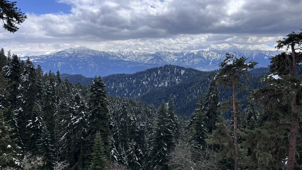 Грузинской еды и вина от меня не ждите, а горы - пожалуйста! Сегодня ходила на хайк по Боржомскому заповеднику, неожиданно было для меня идти в апреле по снегу, благо ботинки высокие. Но и горы и ели со снегом выглядят красивее гораздо!