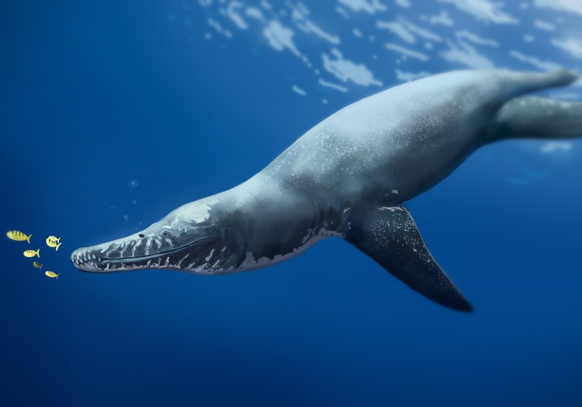 MakArts (comms open) tweet media