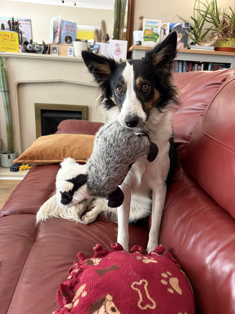 Puppy Bess and Auntie Kes tweet media