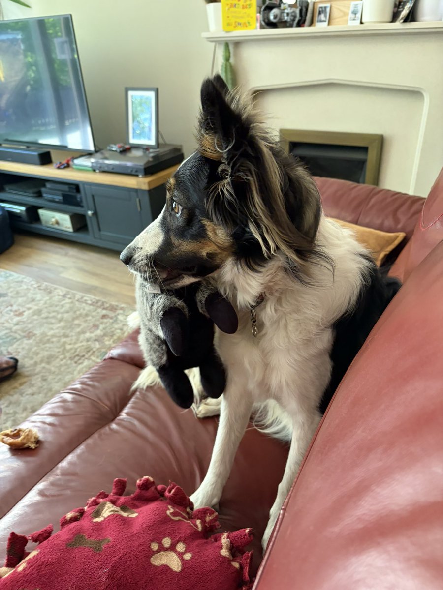 Puppy Bess and Auntie Kes tweet media