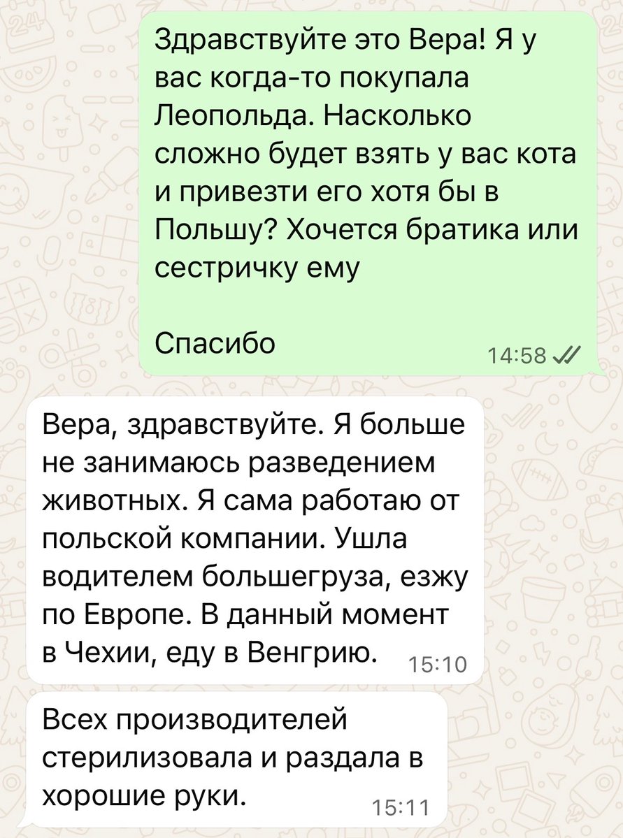 Vera 🧽 tweet media