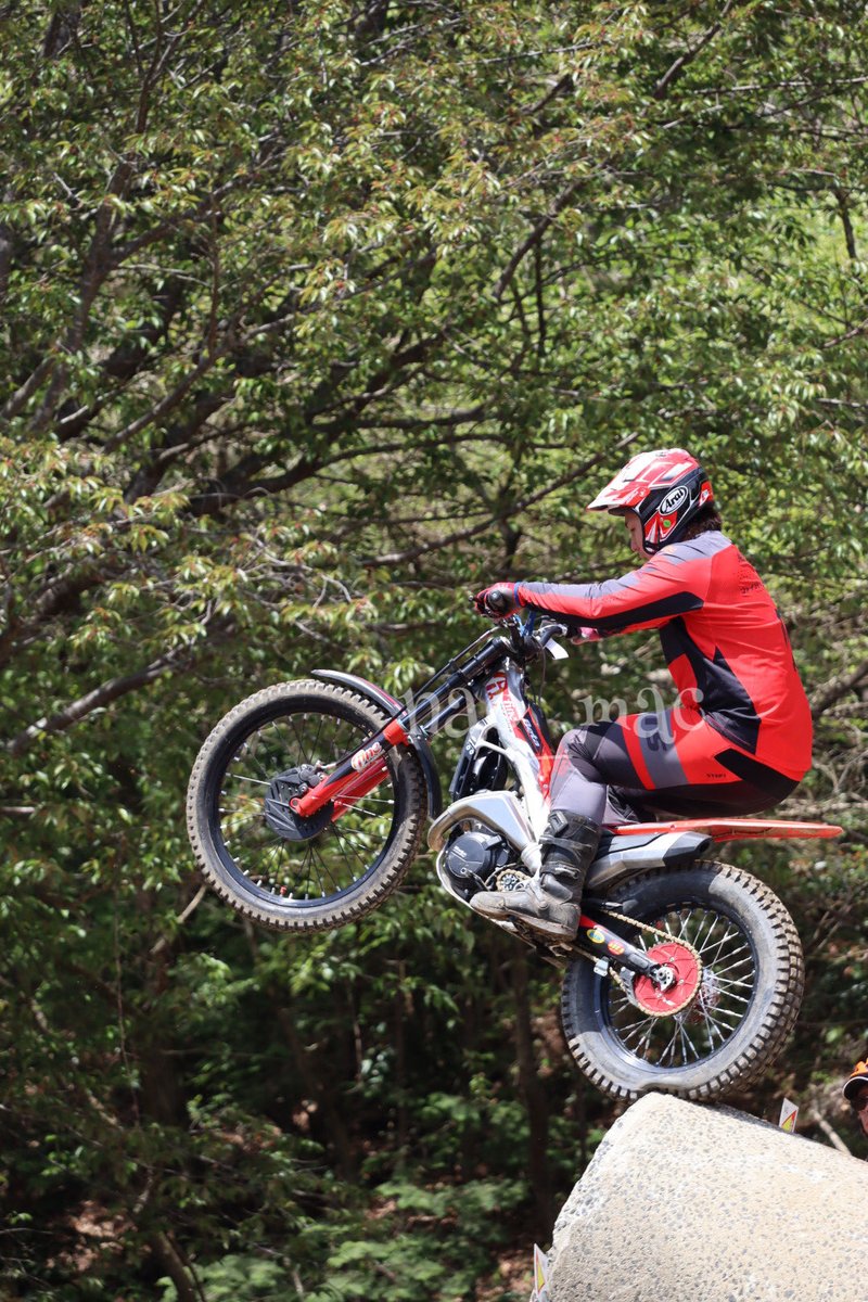 nao（なお）ちゃん tweet media