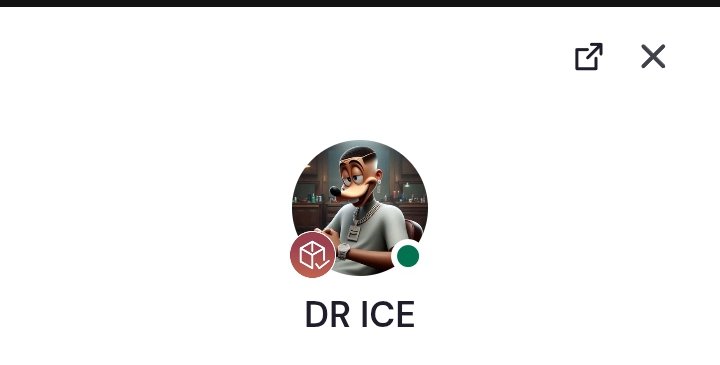 DR, ICE tweet media