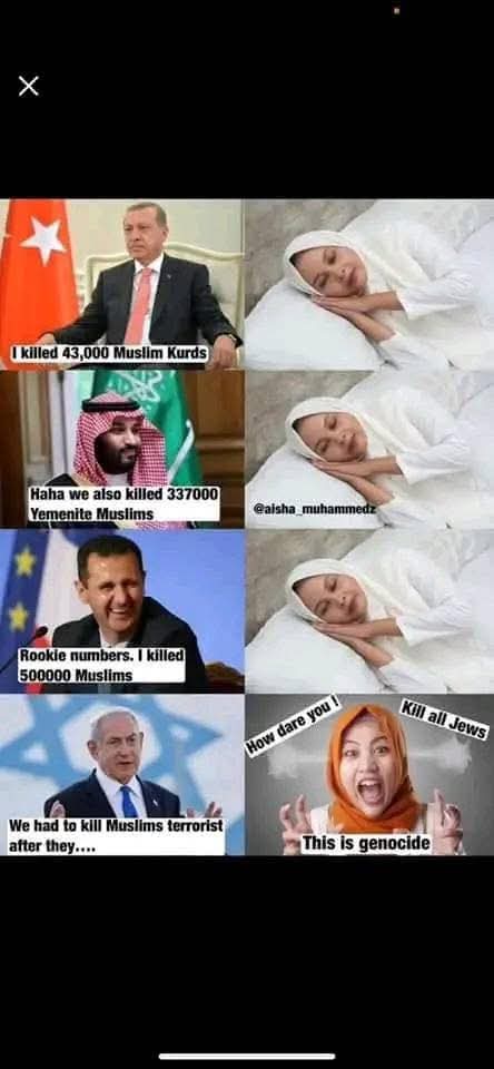 Alex Novsky 🇩🇪 🇮🇱 tweet media