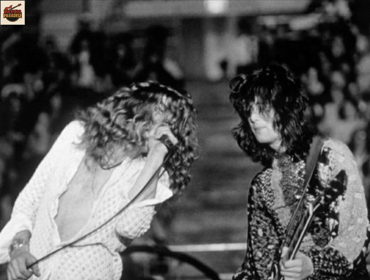 Jimbo Loko tweet media