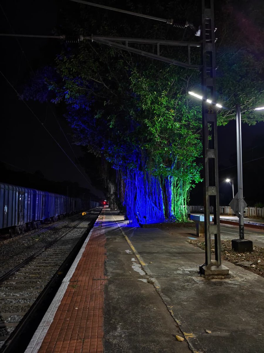 DRMPalghat's tweet image. Rooted in history, lit with pride. 

The iconic banyan trees at Muthalamada Railway Station, featured in over 100 movies, now glows in a new light, drawing admirers from around the world. 🌳✨

#IndianRailway #SouthernRailway #Muthalamada #IconicStation