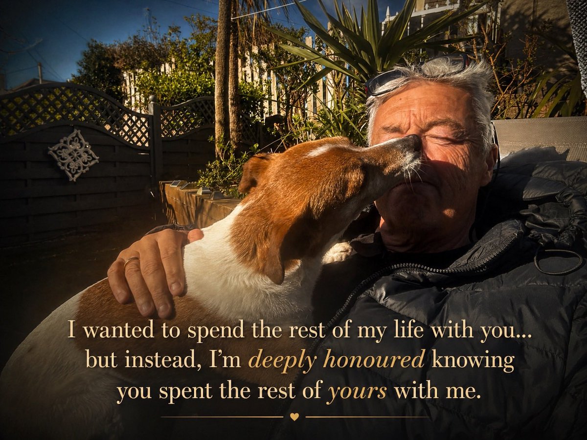 TheNigelroberts's tweet image. Pet loss , horrible feeling after she left and a little better 2 weeks on but still very raw. #petloss #jackrussell