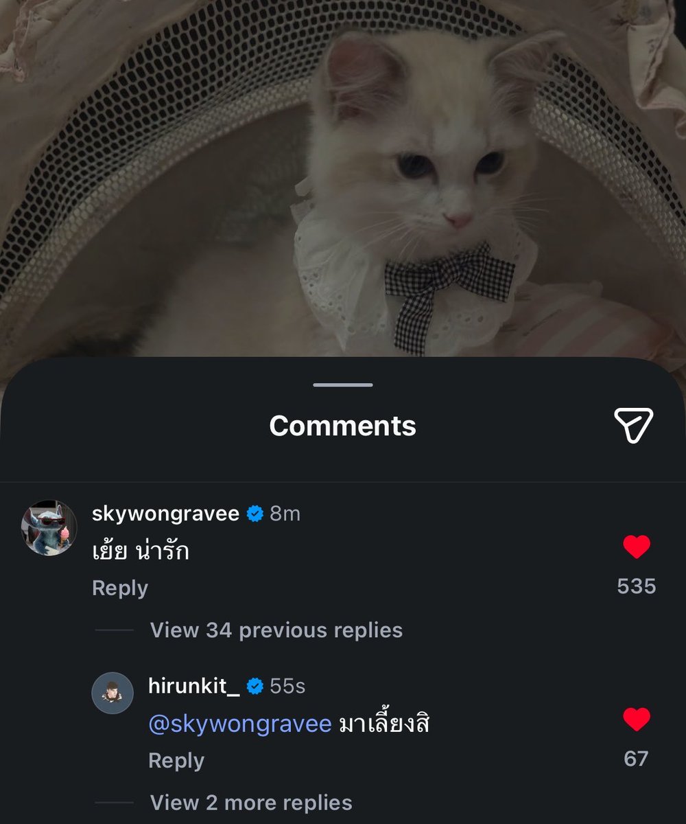 บิ้บซี่ tweet media