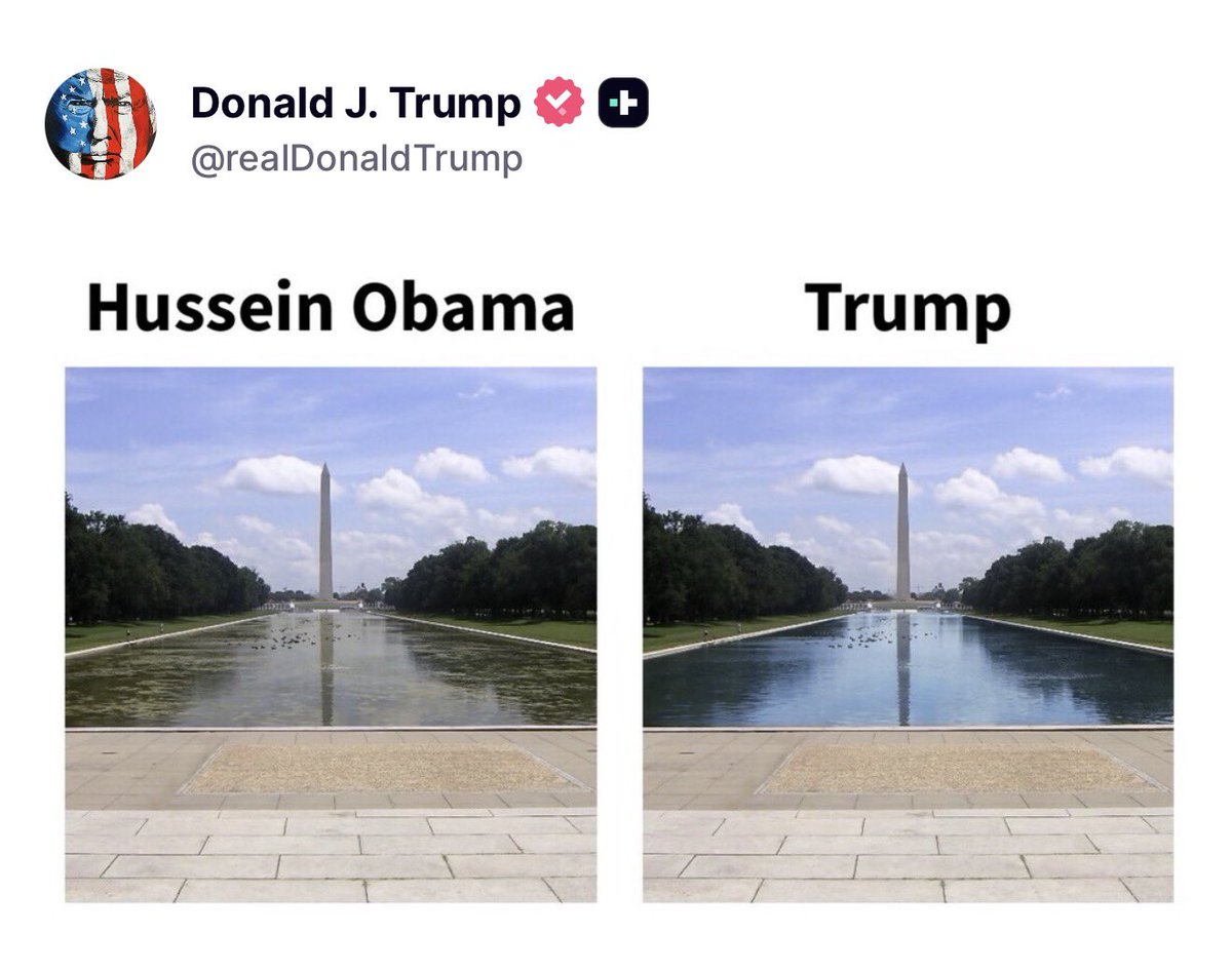 Owen Shroyer tweet media